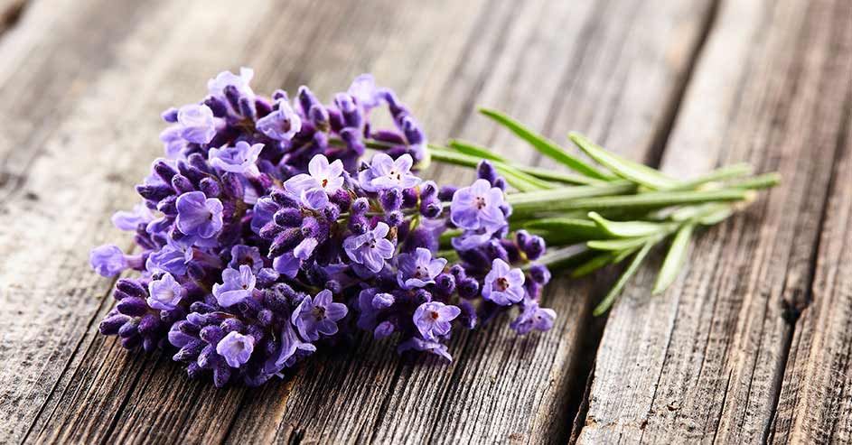 Empat Wangi Cowok yang Bikin Kehadiran Lo Unforgettable